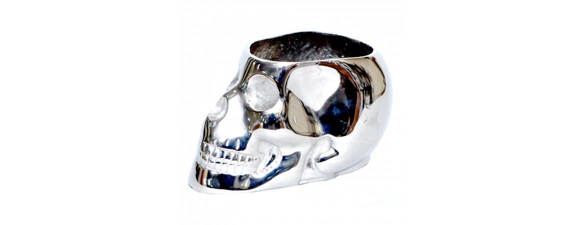 Silver Skull