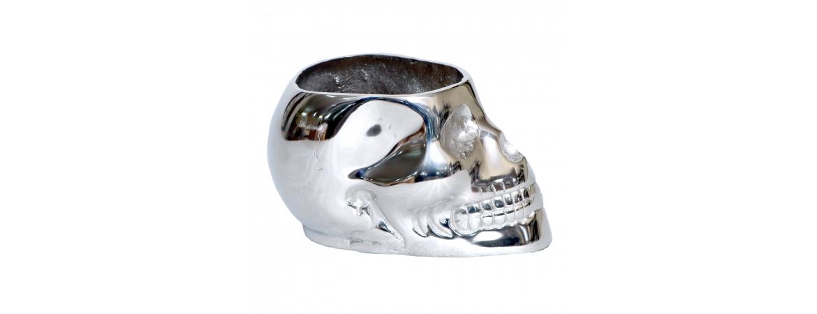 Silver Skull