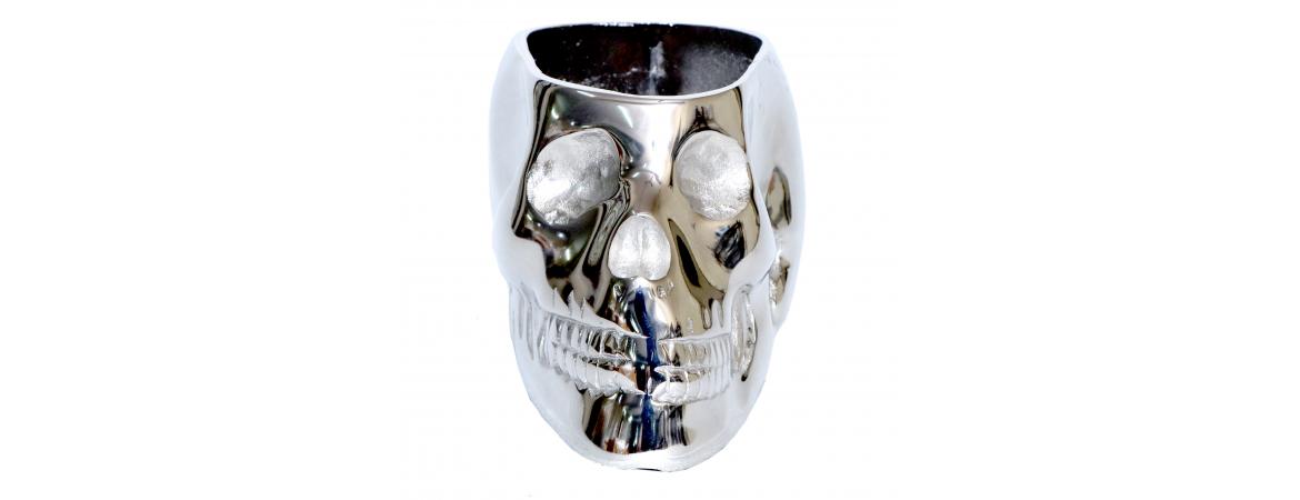 Silver Skull