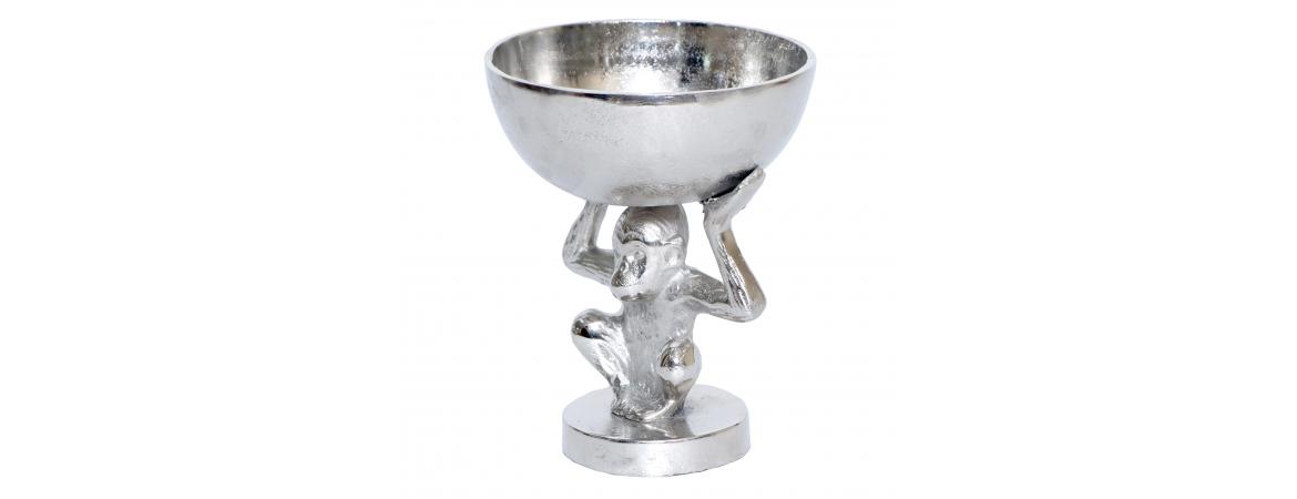 Monkey with Bowl on  Head