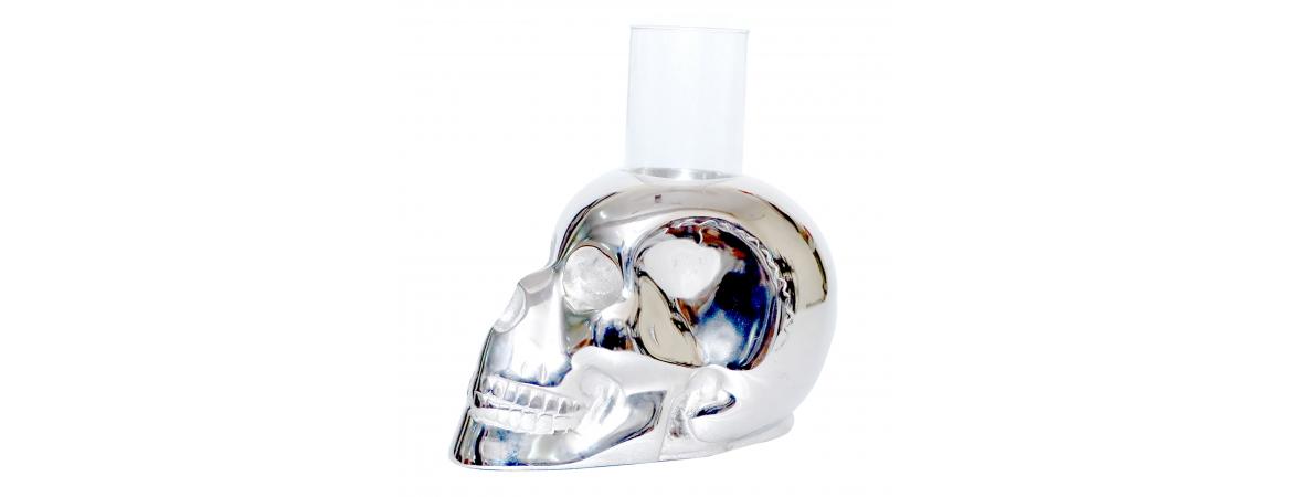 Skull with Glass Jar