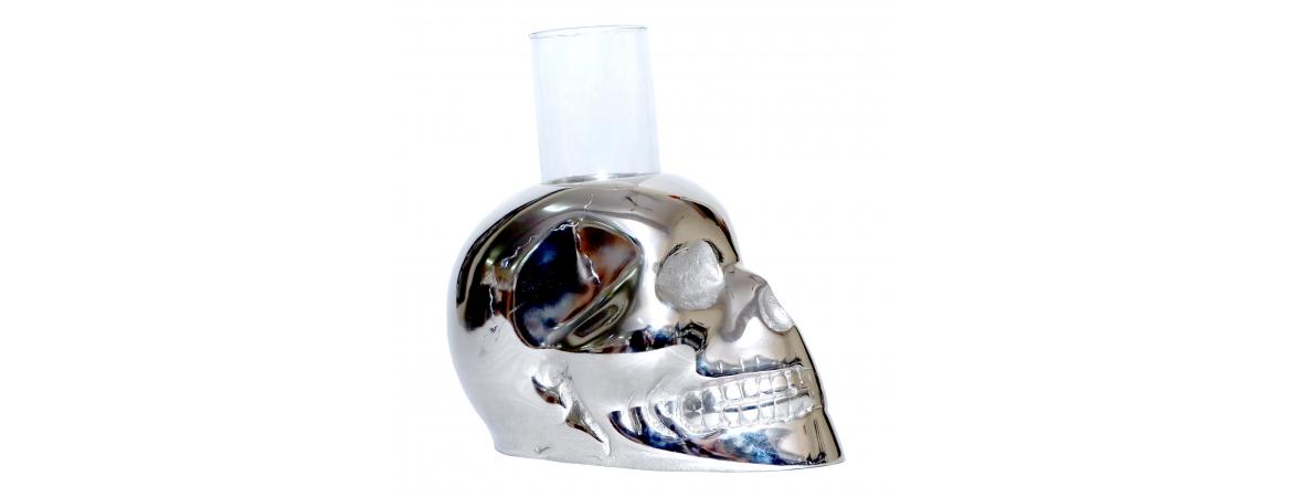 Skull with Glass Jar