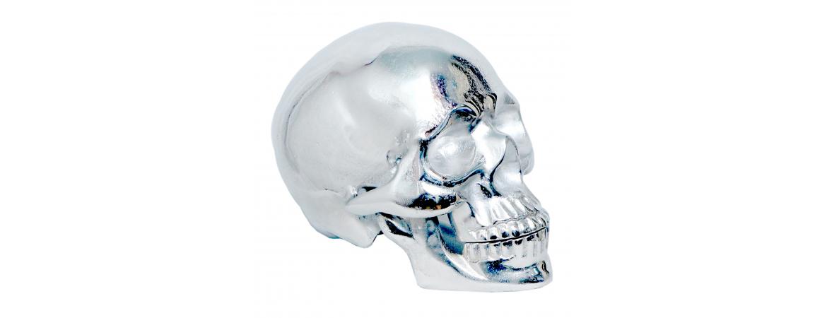 Giant Silver Skull H30cm W50cm