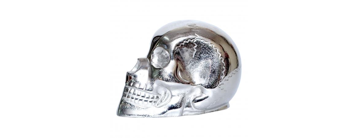 Silver Skull H48