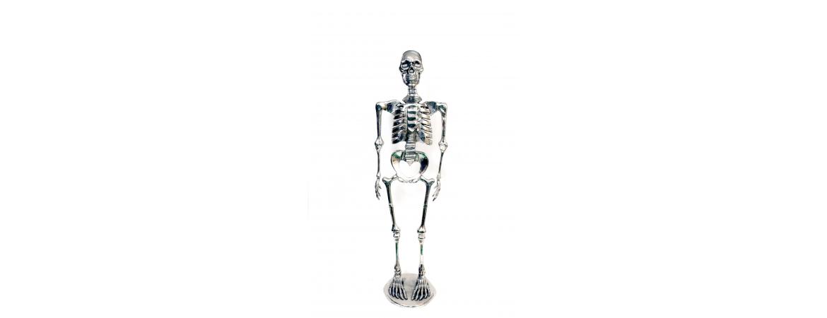 Skeleton H75cm