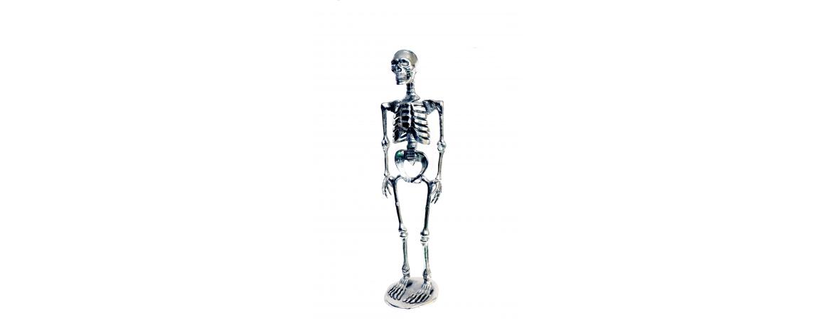 Skeleton H75cm