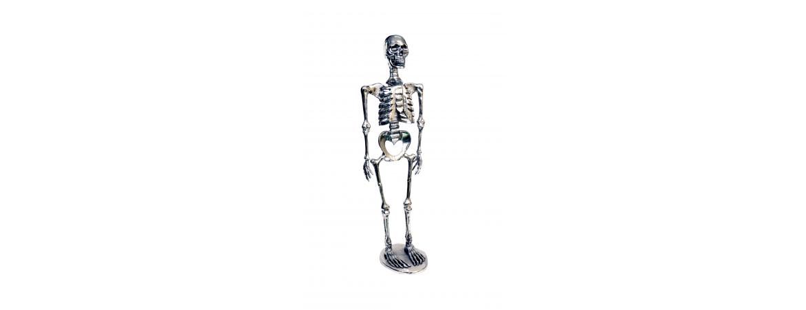 Skeleton H75cm