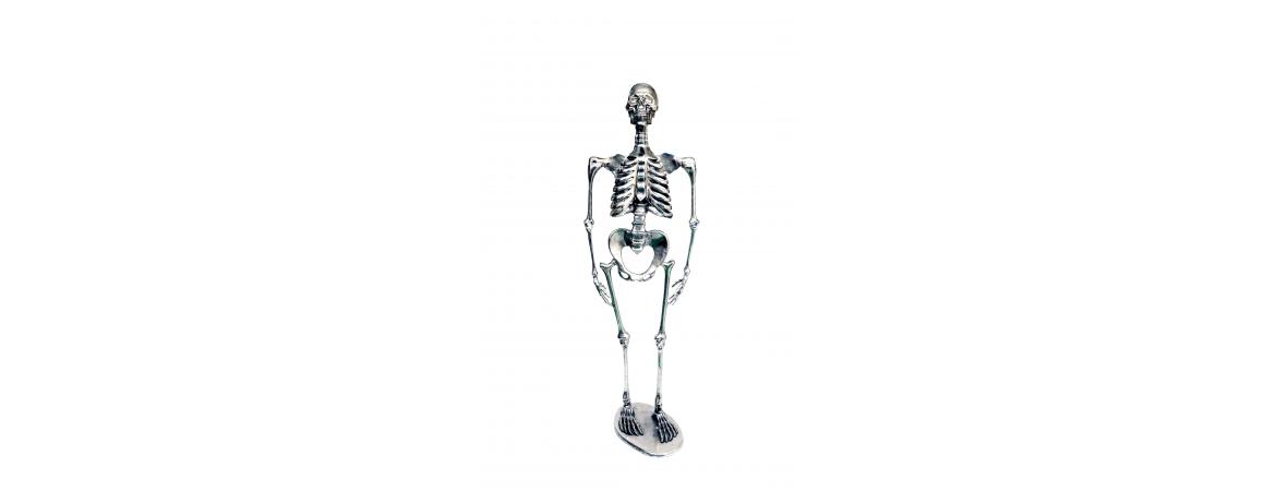 Skeleton H120cm