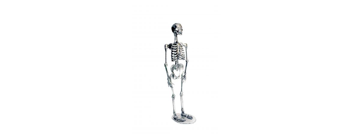 Skeleton H120cm