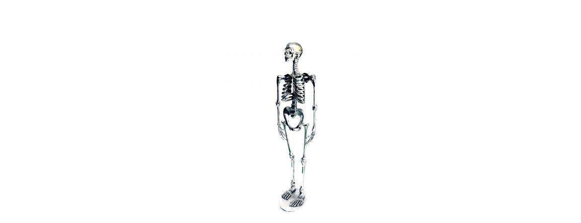 Skeleton H120cm