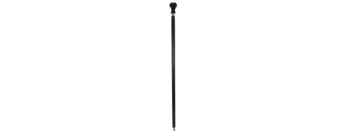 Walking Stick L