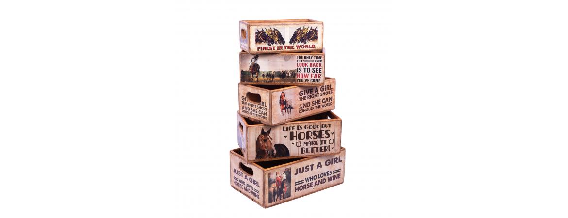 Set of 5 Shellfish Nesting Boxes - Horses