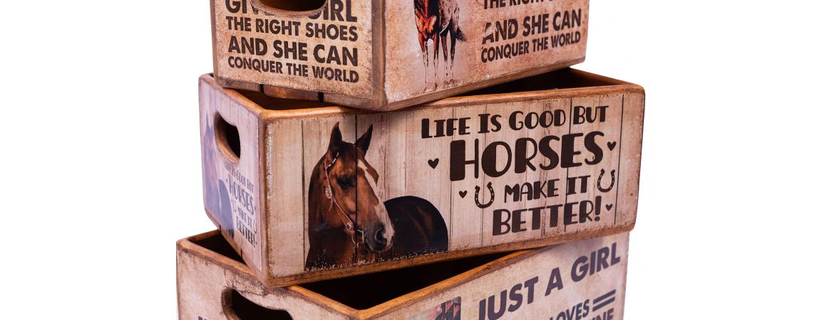 Set of 5 Shellfish Nesting Boxes - Horses