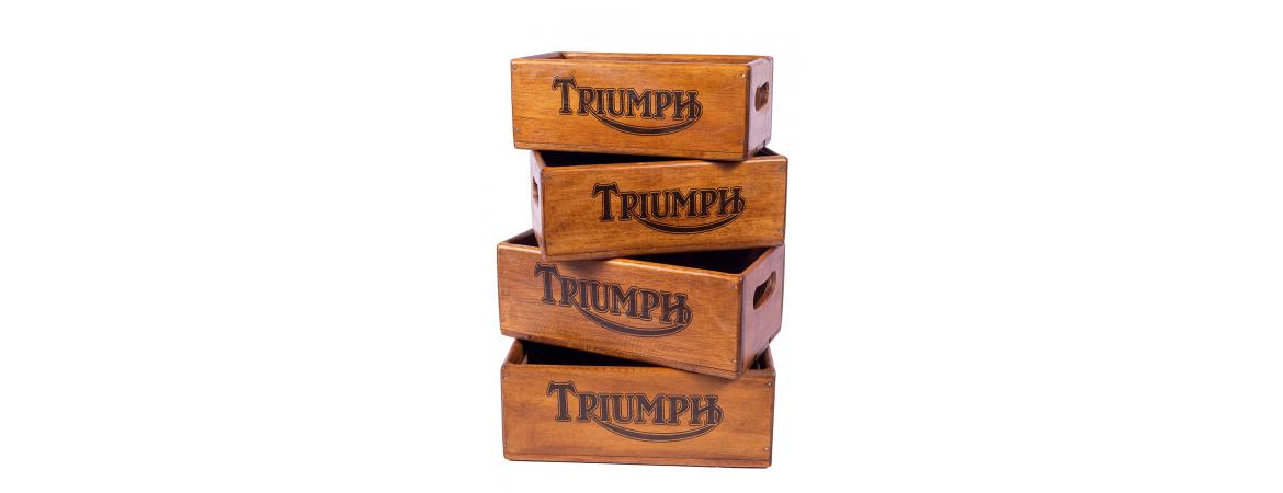 Set of 4 Rectangular Boxes - Triumph