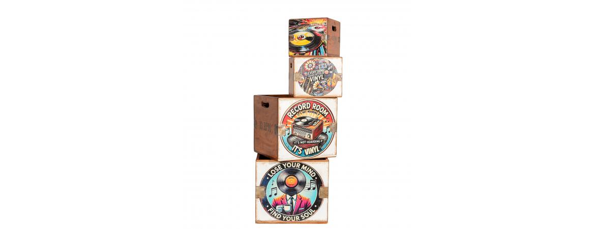 Set of 4 Record Boxes- Vinyl