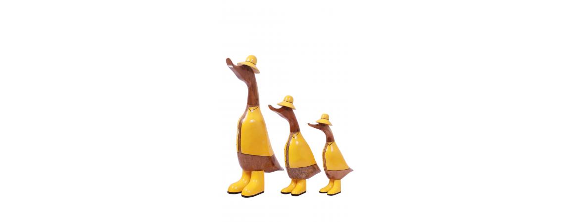 Set of 3 Ducks - Raincoats