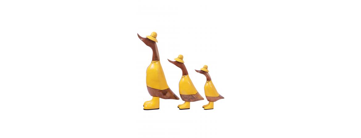 Set of 3 Ducks - Raincoats