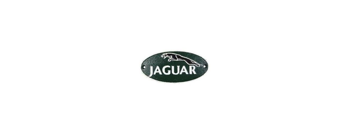 Jaguar Wall Plaque Large