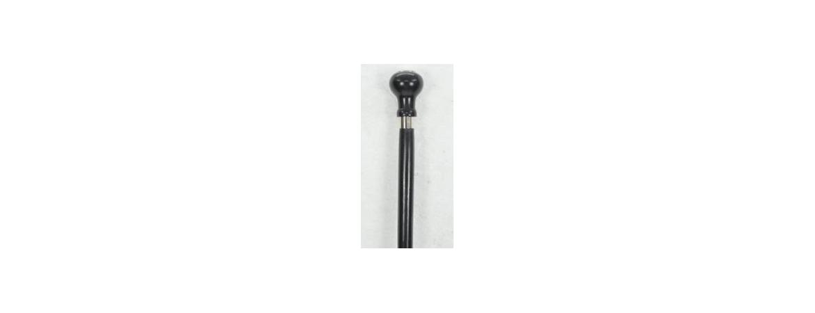 Lamborghini Logo Walking Stick