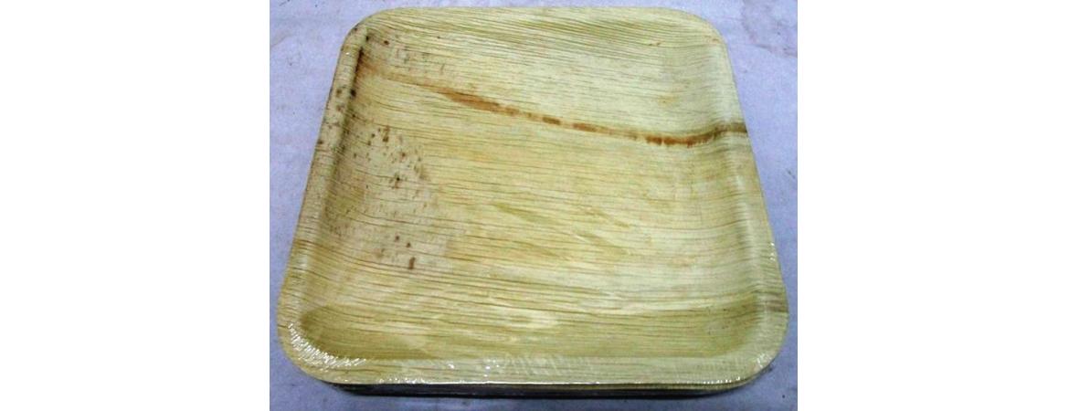 Areca Leaf Biodegradable Plates Set of 6 10inch