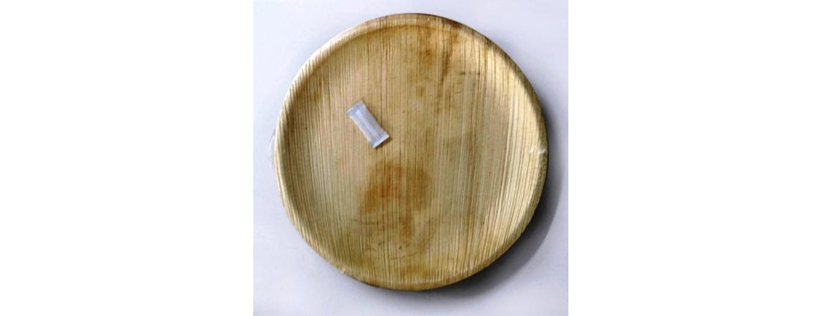 Areca Leaf Biodegradable Plates Set of 6 10inch