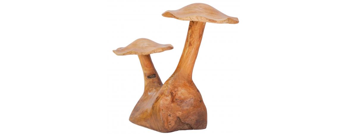 Mushroom - 2 Stems