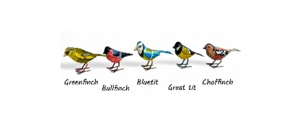Set of 5 Birds - British Birds
