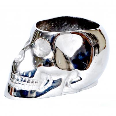 Silver Skull