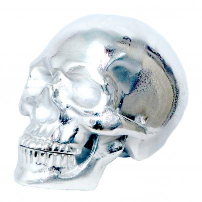 Giant Silver Skull H30cm W50cm