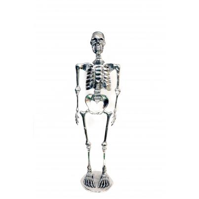 Skeleton H75cm