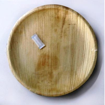 Areca Leaf Biodegradable Plates Set of 6 10inch