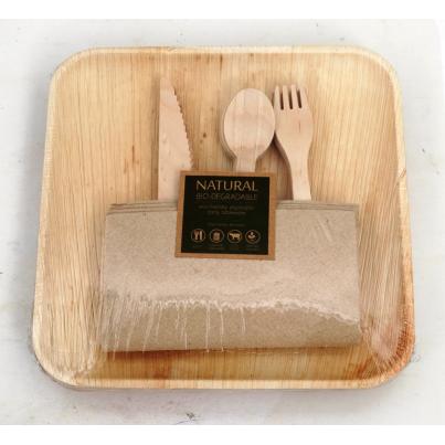 Areca Leaf Biodegradable Party Pack 9inch Plates