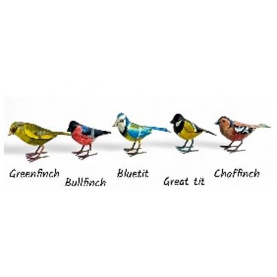 Set of 5 Birds - British Birds