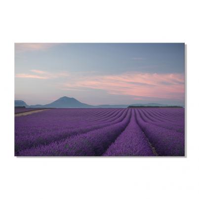 Lavender Fields Canvas Print 80 x 120cm x 3.5cm